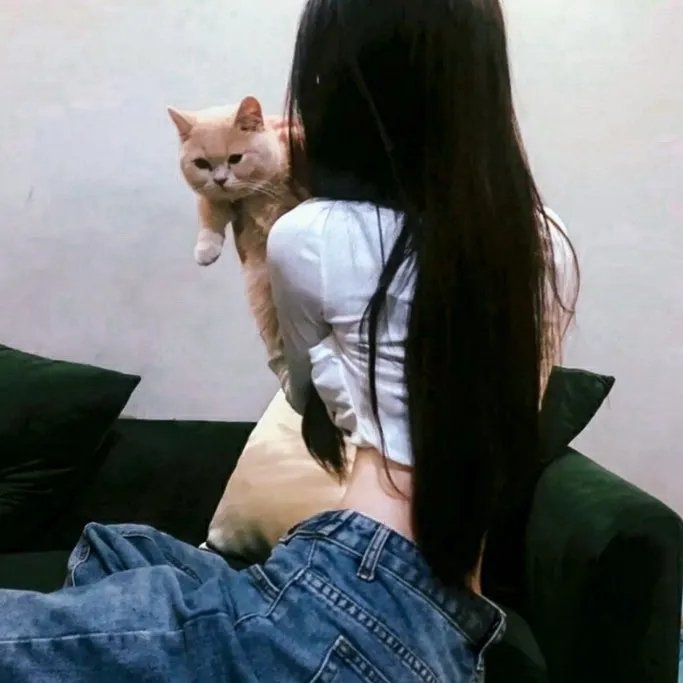 如果历史是一群喵第七季